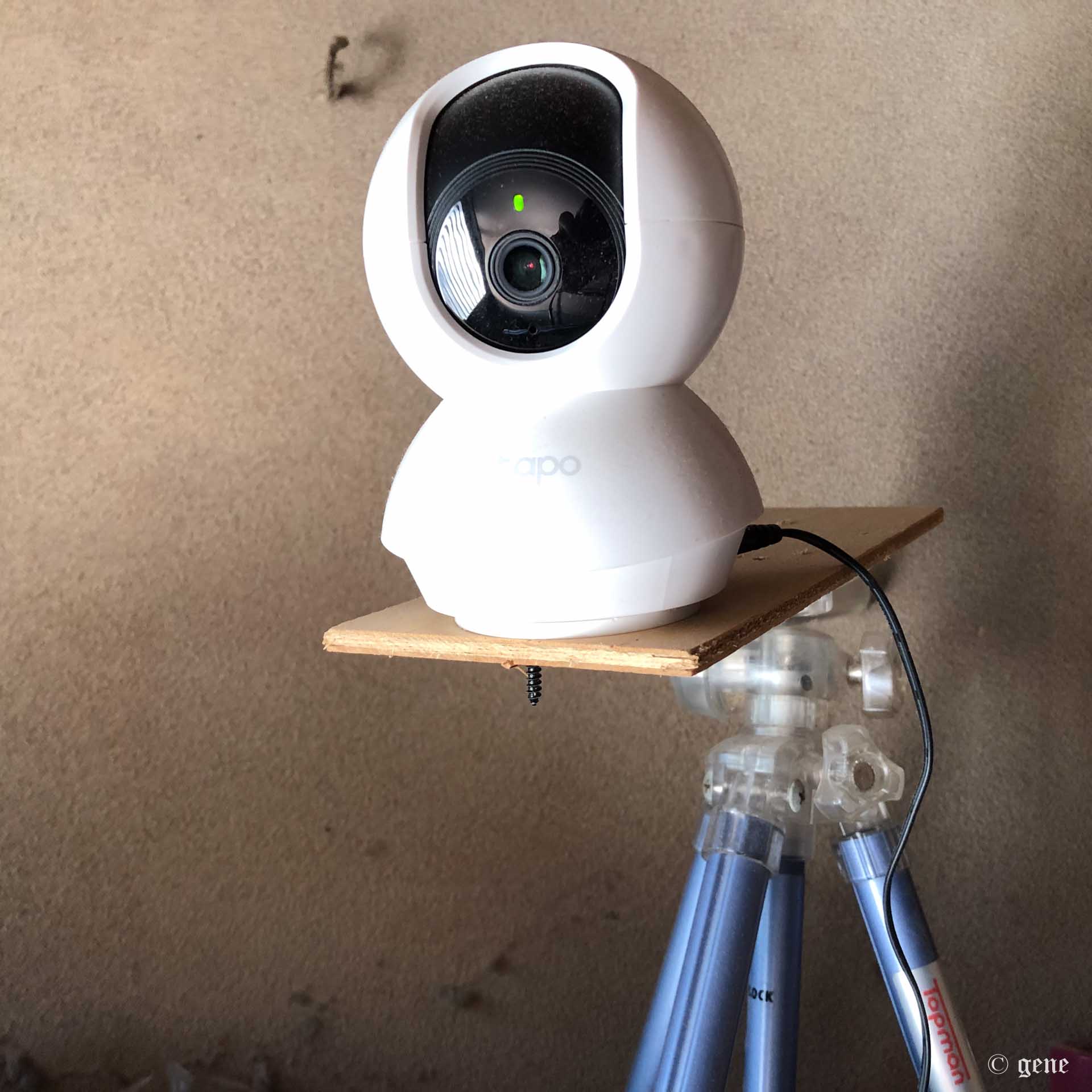 TP-Link ネットワークWi-Fiカメラ Tapo C210/A